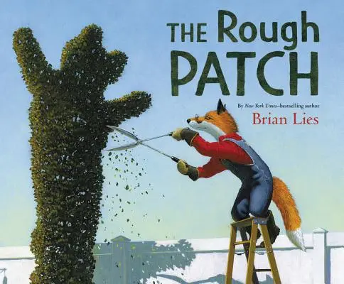 Drsná záplata - The Rough Patch