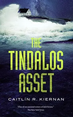 Tindalos Asset - The Tindalos Asset
