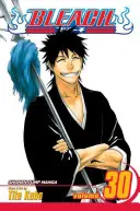 Bleach, díl 30, 30 - Bleach, Vol. 30, 30