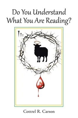 Rozumíte tomu, co čtete? - Do You Understand What You Are Reading?