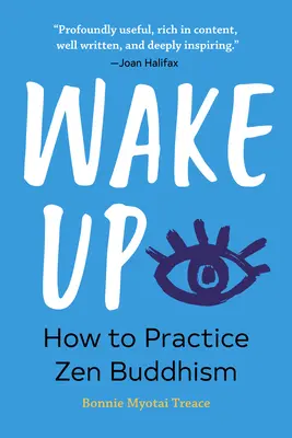 Probuďte se: Jak praktikovat zenový buddhismus - Wake Up: How to Practice Zen Buddhism