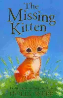 Pohřešované kotě - Missing Kitten