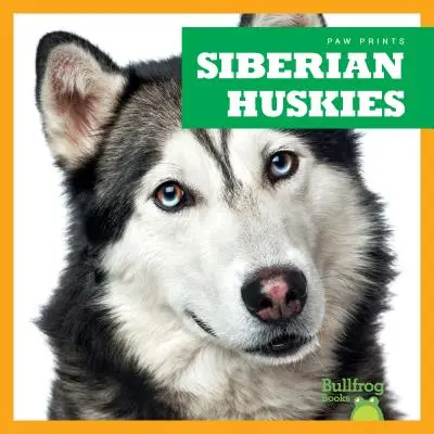 Sibiřští huskyové - Siberian Huskies
