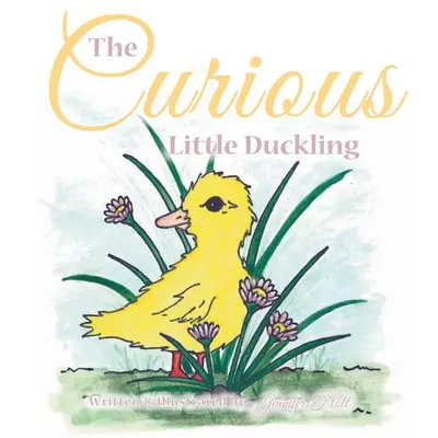 Zvědavé káčátko - The Curious Little Duckling