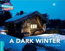 Tmavá zima Tyrkysová páska - A Dark Winter Turquoise Band
