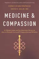 Medicína a soucit: Tibetský láma a americký lékař o tom, jak poskytovat péči se soucitem a moudrostí - Medicine and Compassion: A Tibetan Lama and an American Doctor on How to Provide Care with Compassion and Wisdom