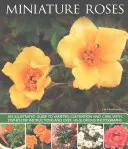 Miniaturní růže - Miniature Roses