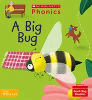 Velký brouk (sada 3) - Big Bug (Set 3)