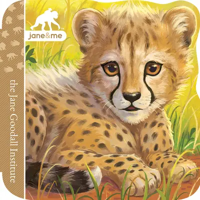 Cheetah