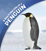 Den v životě tučňáka - Day in the Life of a Penguin