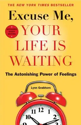 Promiňte, váš život čeká: Úžasná síla pocitů - Excuse Me, Your Life Is Waiting: The Astonishing Power of Feelings