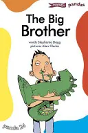Velký bratr - The Big Brother