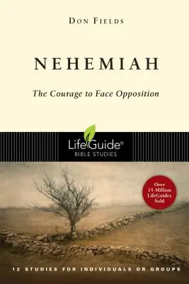 Nehemiáš: Odvaha tváří v tvář opozici - Nehemiah: Courage in the Face of Opposition
