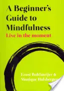 Průvodce začátečníka po mindfulness: Průvodce všímavostí: Žít v přítomnosti - A Beginner's Guide to Mindfulness: Live in the Moment