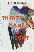 Třicet jmen noci - román - Thirty Names of Night - A Novel