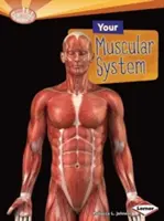 Váš svalový systém - Your Muscular System