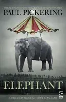 Slon - Elephant