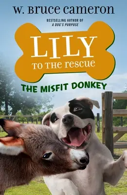 Lily na záchranu: Lily: The Misfit Donkey - Lily to the Rescue: The Misfit Donkey