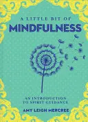 Trocha všímavosti, 13: Úvod do přítomnosti - A Little Bit of Mindfulness, 13: An Introduction to Being Present