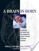 Zrození mozku: zkoumání zrodu a vývoje centrální nervové soustavy - A Brain Is Born: Exploring the Birth and Development of the Central Nervous System
