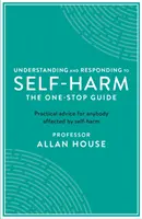 Porozumění a reakce na sebepoškozování: Jediný průvodce: Praktické rady pro každého, koho se sebepoškozování týká - Understanding and Responding to Self-Harm: The One Stop Guide: Practical Advice for Anybody Affected by Self-Harm