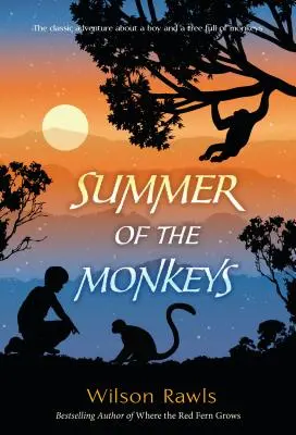 Opičí léto - Summer of the Monkeys