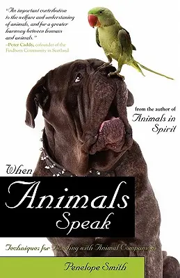 Když zvířata mluví: Techniky navázání kontaktu se zvířecími společníky: Jak mluvit se zvířaty? - When Animals Speak: Techniques for Bonding with Animal Companions