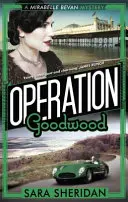 Operace Goodwood - Operation Goodwood