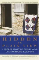 Skryté na očích: Tajný příběh o přikrývkách a podzemní železnici - Hidden in Plain View: A Secret Story of Quilts and the Underground Railroad