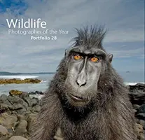 Fotograf roku divoké přírody: Portfolio 28 - Wildlife Photographer of the Year: Portfolio 28