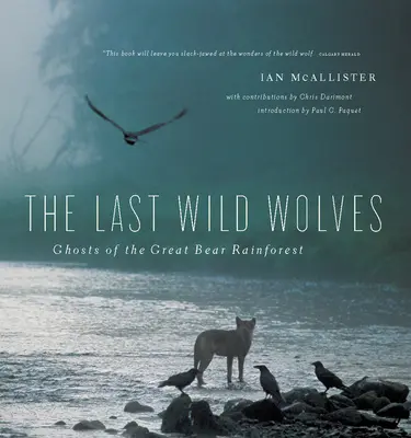 Poslední divocí vlci: Přízraky deštného pralesa - The Last Wild Wolves: Ghosts of the Rain Forest