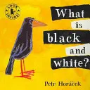 Co je černé a bílé? - What Is Black and White?