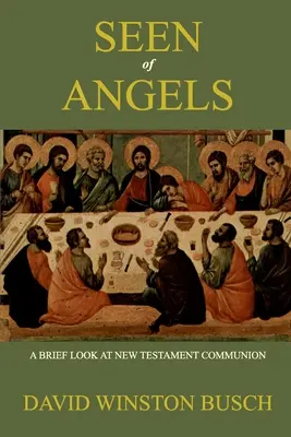 Viděno z andělů - Seen of Angels