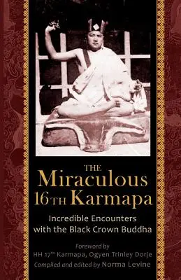 Zázračný 16. karmapa - The Miraculous 16th Karmapa