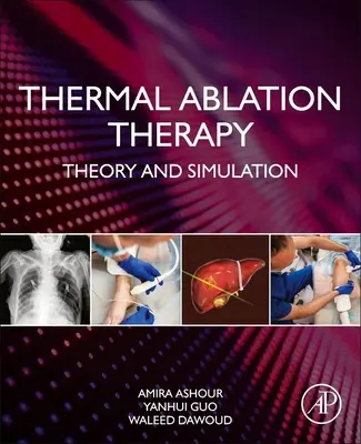 Thermal Ablation Therapy: Teorie a simulace - Thermal Ablation Therapy: Theory and Simulation