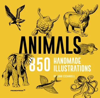 Zvířata: 850 ručně vyrobených ilustrací - Animals: 850 Handmade Illustrations