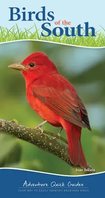 Ptáci jihu: Ptáci na zahradě: průvodce: Jak snadno určovat ptáky na zahradě - Birds of the South: Your Way to Easily Identify Backyard Birds