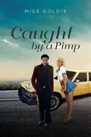 Chycen pasákem - Caught by a Pimp