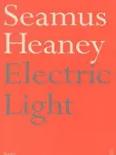 Elektrické světlo - Electric Light