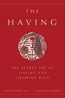 Mít: Tajné umění cítit se a bohatnout - The Having: The Secret Art of Feeling and Growing Rich