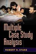 Analýza více případových studií - Multiple Case Study Analysis