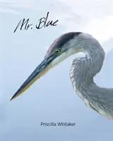Pan Modrý - Mr. Blue
