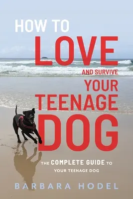 Jak milovat a přežít svého dospívajícího psa - How to Love and Survive Your Teenage Dog