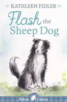Ovčácký pes Flash - Flash the Sheep Dog