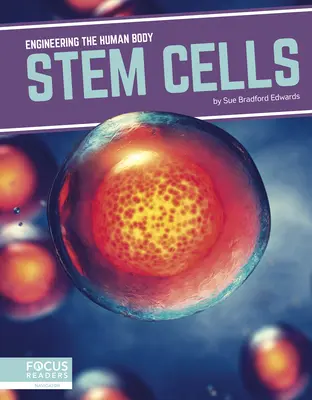Kmenové buňky - Stem Cells
