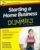 Začínáme podnikat doma pro hlupáky - Starting a Home Business For Dummies