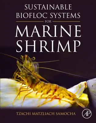 Udržitelné systémy biofloků pro mořské krevety - Sustainable Biofloc Systems for Marine Shrimp