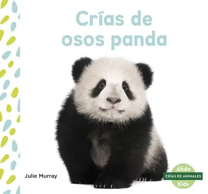 Cras de Osos Panda (Mláďata pandy) - Cras de Osos Panda (Panda Cubs)
