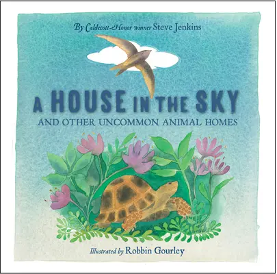 Dům v oblacích - A House in the Sky