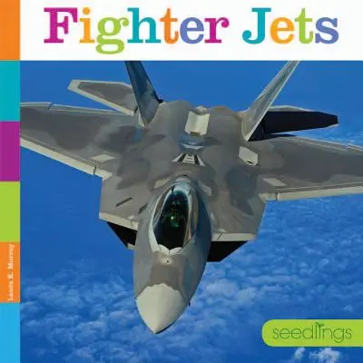 Stíhací letouny - Fighter Jets